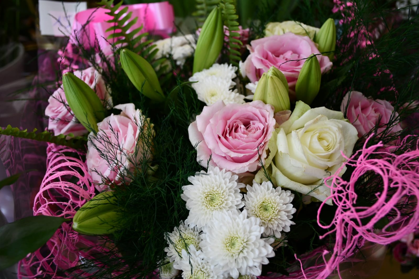 WhatsApp Image 2020-05-22 at 4.36.03 PM.jpeg.jpeg